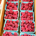 Fresh raspberries