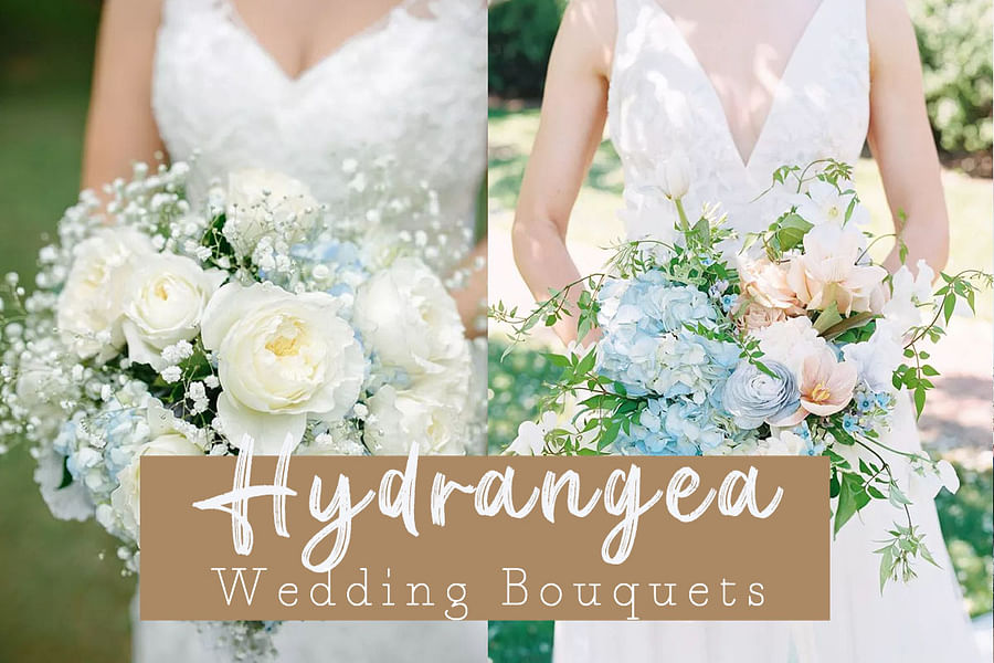 hydrangeas wedding bouquet