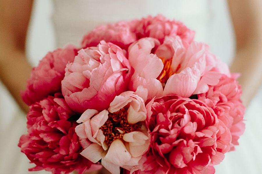 peonies wedding bouquet