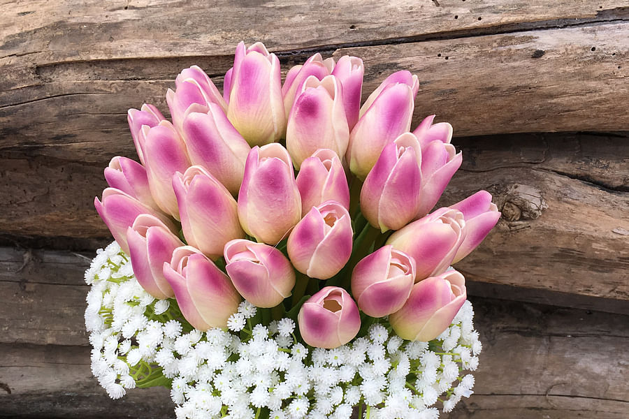 tulips wedding bouquet